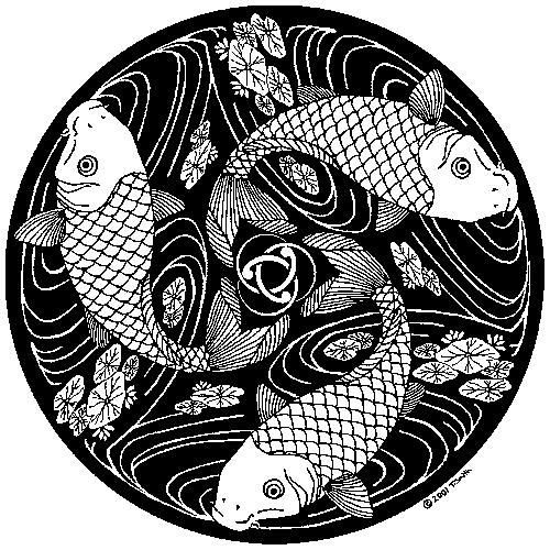 koi gif